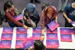 The Plug – Law Taster Activities